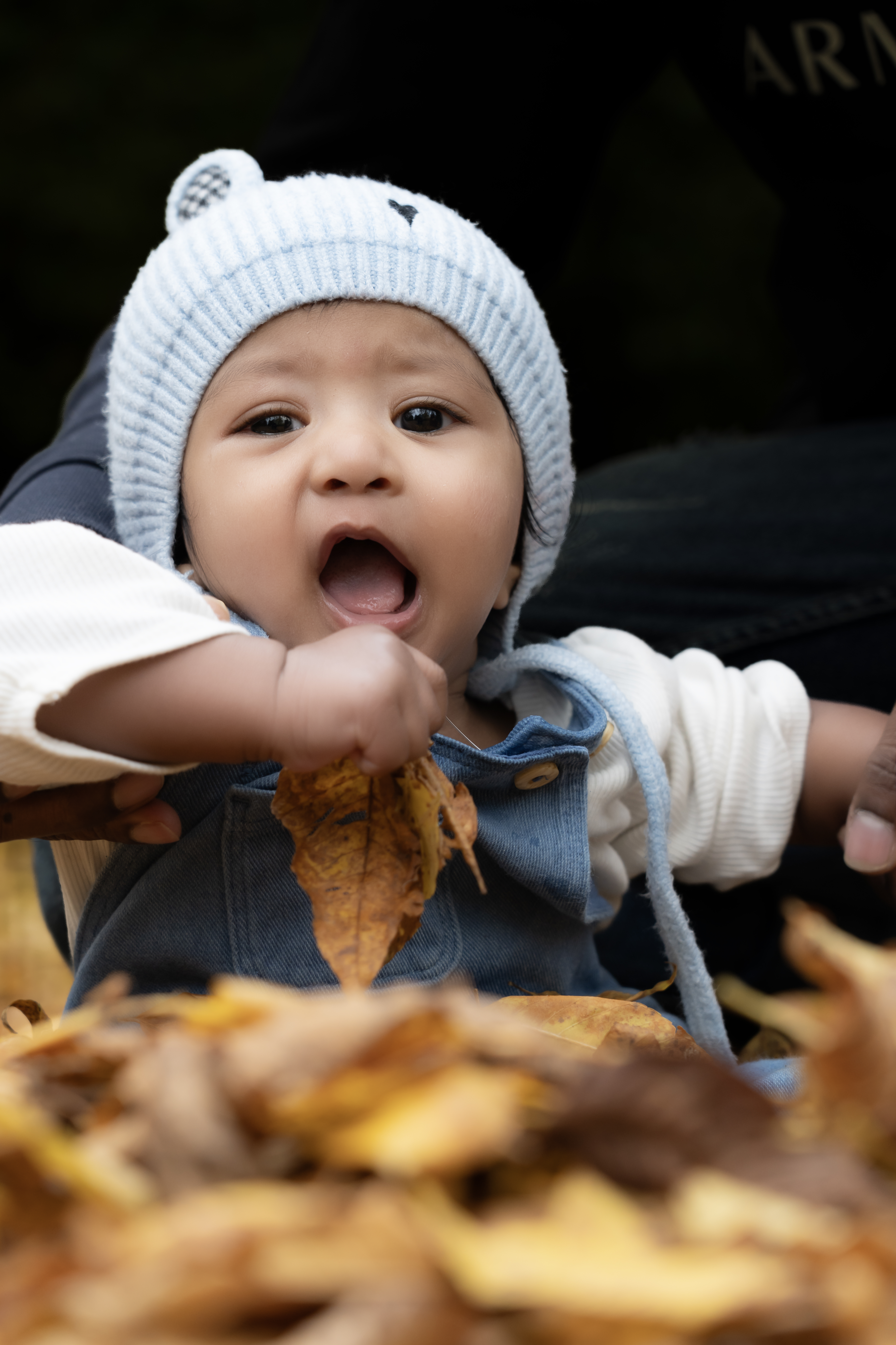 Fall Shoot